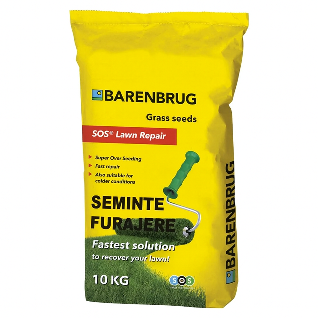 Seminte Gazon . 500 mp - 10KG, Rezistent la Seceta